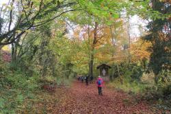 La randonnée du 17 novembre à Hermival-les-Vaux