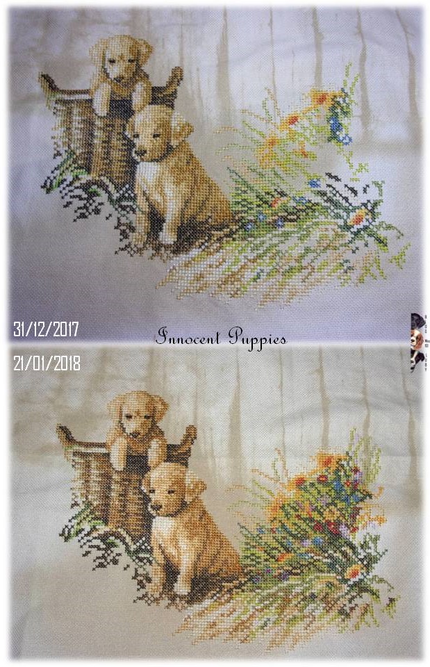 Innocent Puppies (5)