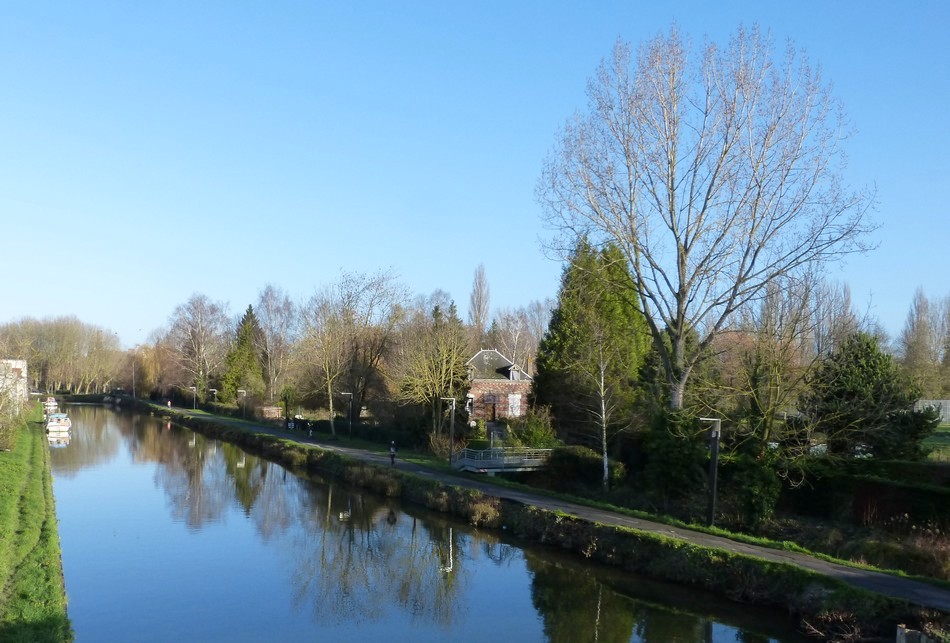 Ma vie et ses surprises !