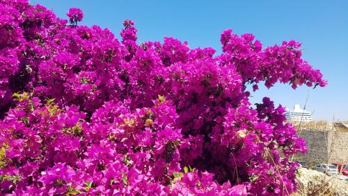 La lumière du matin à Rhodes