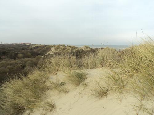  * La Dune Marchand et la Dune du Perroquet à Bray-Dunes