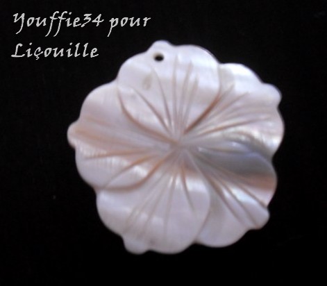 Accueil