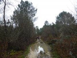 CR / RANDO 15 - CASTRES-GIRONDE 