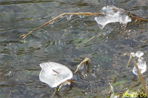 Des photos d'hiver , par D.S...