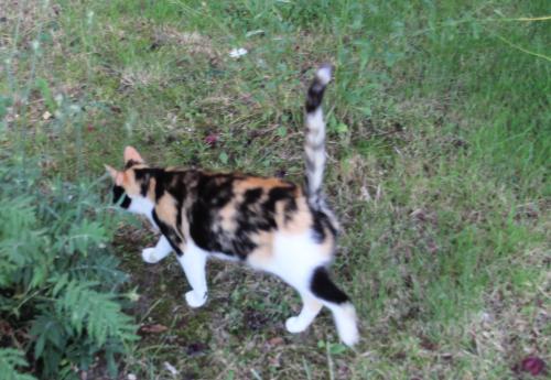 Chambre d'ôtes "Haut-Jardin" à Vignoux-sous-les-Aix