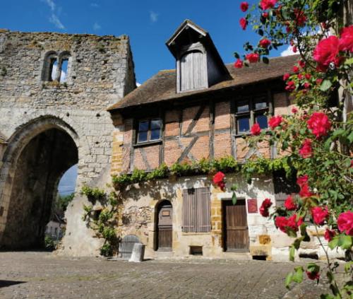 ღ꧁ღ╭⊱ꕥ 41 Le Loir et Cher ꕥ⊱╮ღ꧂ღ