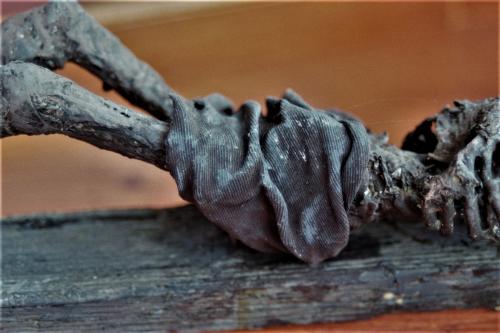 La relique inexpliquée 