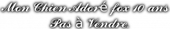 ⊱♥⊱╮ღ꧁  L'auteur du Blog ꧂ღ ⊱♥≺