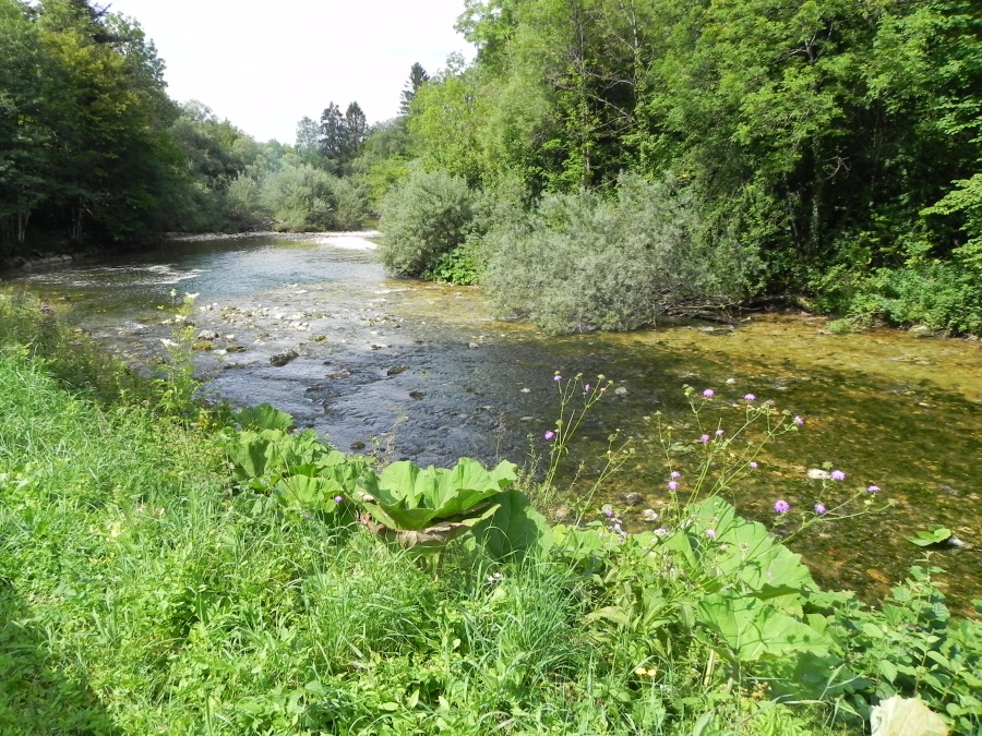 Ballade du soir à la cascade la Billaude