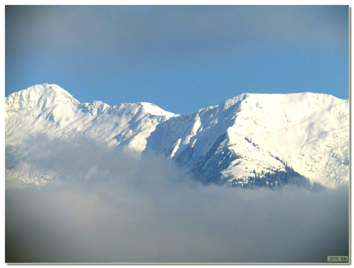  PAYSAGE  DE  JANVIER  2021