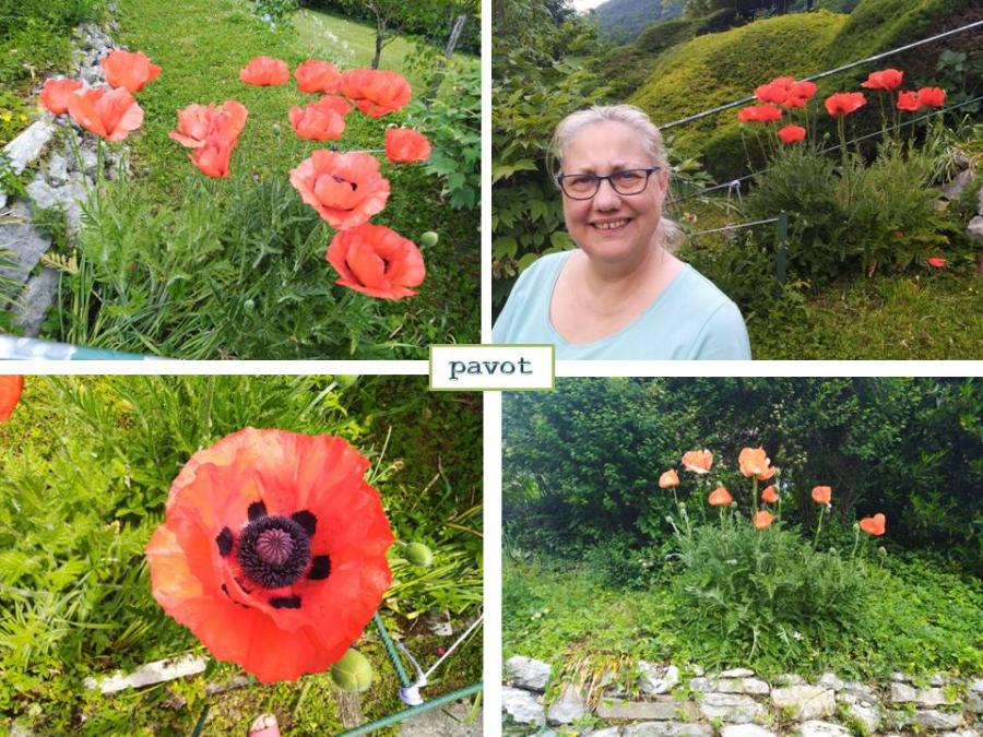 Mon univers au 17/5/2022