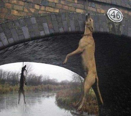 La Chasse