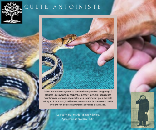 Le Couronnement de l'Œuvre Révélée, Apparence de la réalité (p.XX)