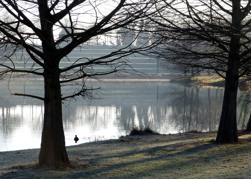 Toujours au parc, frigorifiée, mais c'est si beau ! 