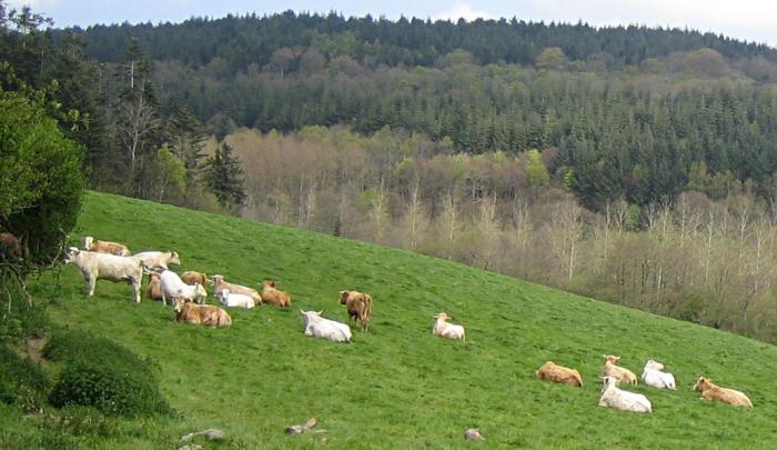 Départemment de la Manche 1ère partie