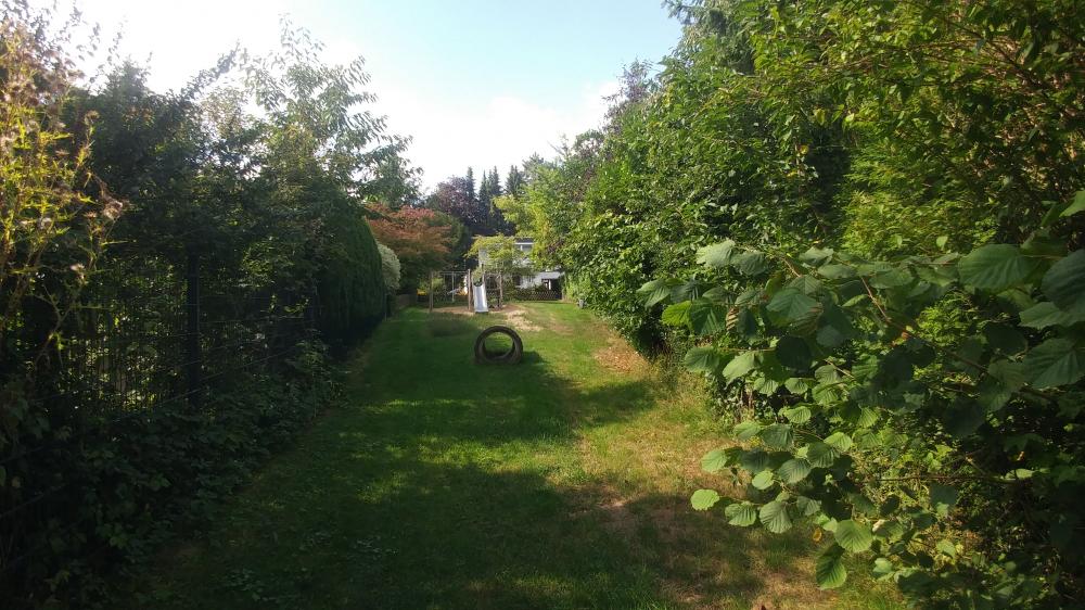 Leverkusen 2019: Diepentalsperre