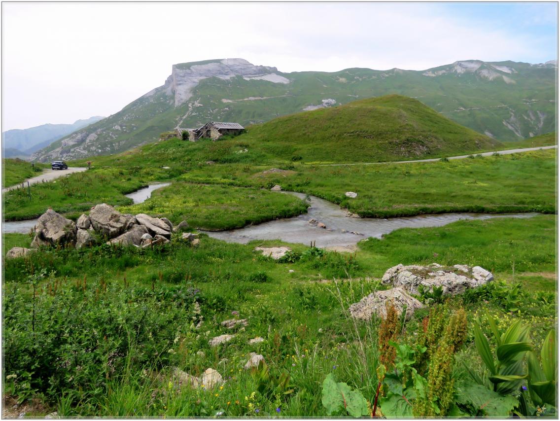 ELLE  DESCEND  DE LA  MONTAGNE ?