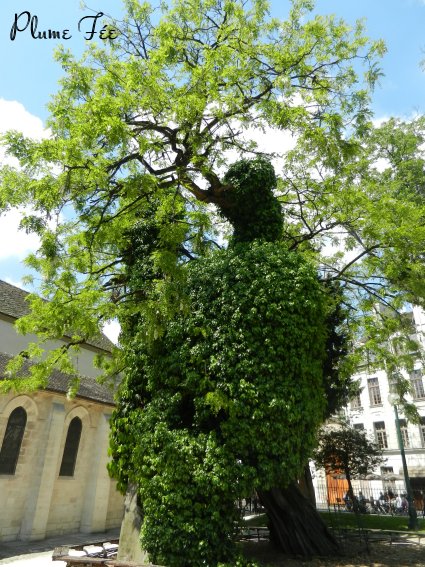 Image001.jpg