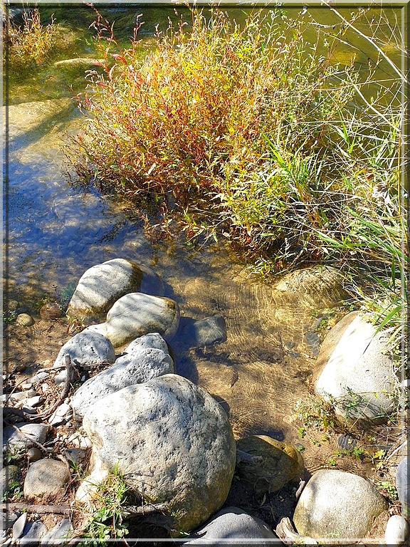 1003 - Traversée de l’Ardèche : Vogüé (07)