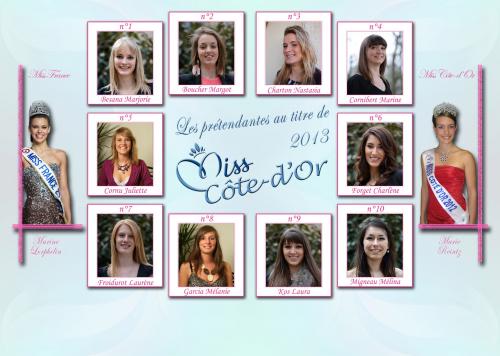 L'élection de Miss Côte d'Or au Théâtre Gaston Bernard : Les candidates....