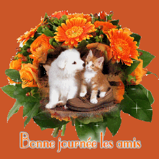 L'émerveillement de mon jardin et une fleur en particulier