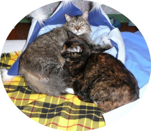 dormir-en-tas-01.jpg