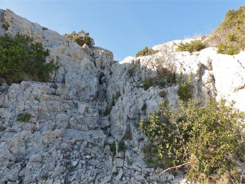 Titou Ninou et Malvallon