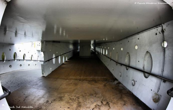 La passerelle entre terre et mer