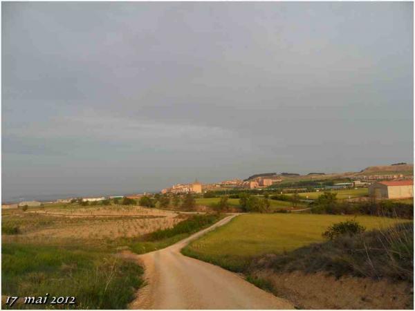 (J43) Viana / Los Arcos 17 mai 2012 (1)