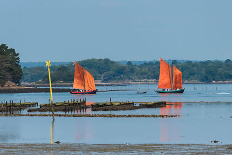 Le Morbihan, côté golfe et/ou côté terre