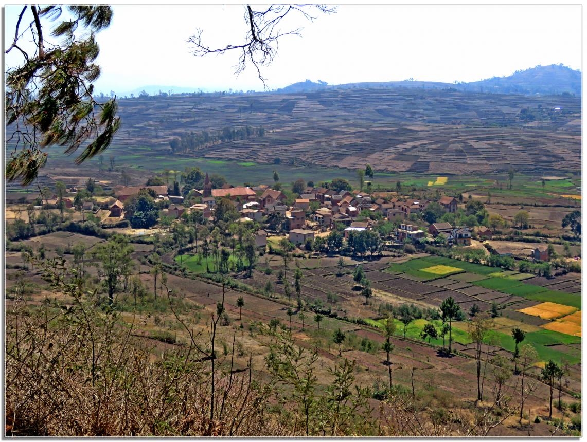 LES  RIZIERES  MALGACHE  SOUVENIRS 