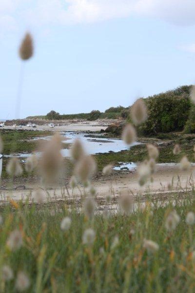 Plage de Kervaliou à Port Neuf 057