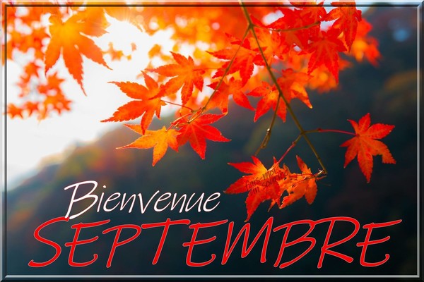 Bonjour Septembre ...