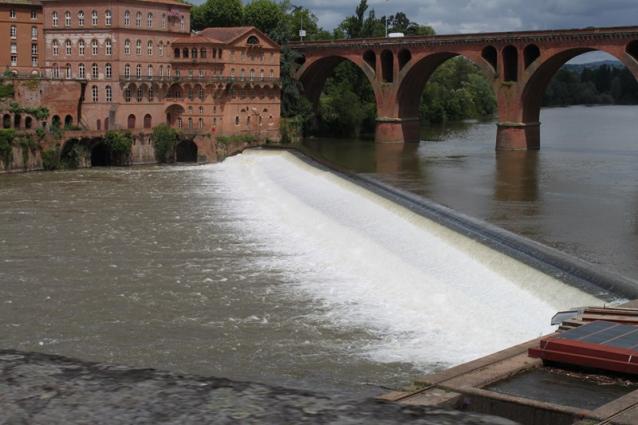 Albi (67)