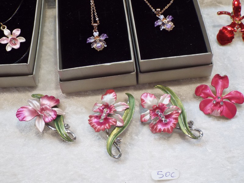 Orchidées 