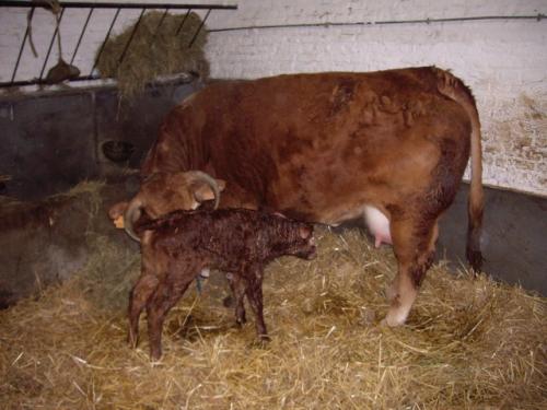 Blagounettes du mercredi … !!!