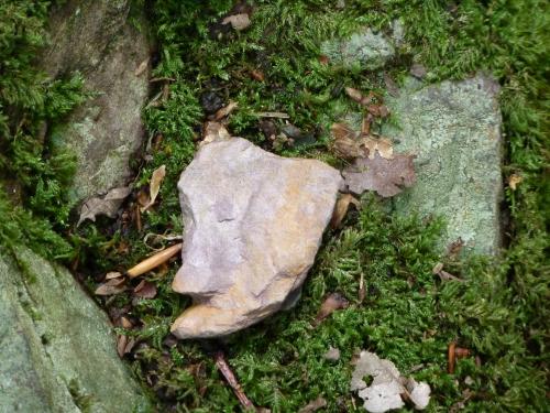 Stéphane B.- les émanants