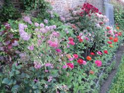 * Excursion à Lessines