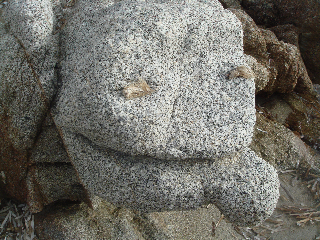 La page de Véronique P