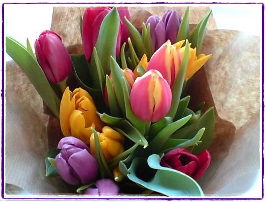 Week end fleuri ...