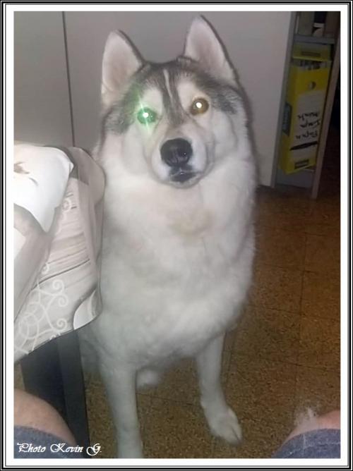 Javik (7 ans)