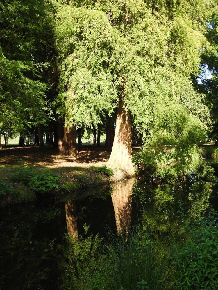 La Pointe des Vergnes, à Soustons...