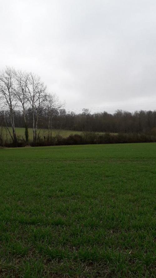 Un peu de nos randonnées 