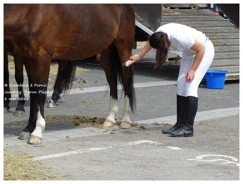 Jumping Tharon Plage 2016