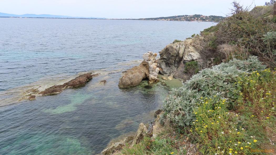La Madrague - presqu'île de Giens - 14