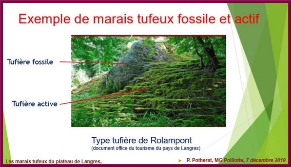 "Les marais tufeux du Plateau de Langres", une conférence proposée par la Société Mycologique du Châtillonnais