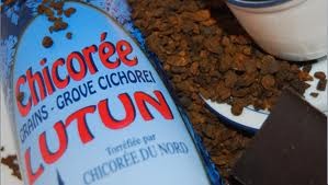 chicorée 