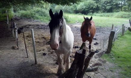 Leverkusen hautnah: Von der Diepentalsperre über den Murbach und die Wupper bis nach Opladen