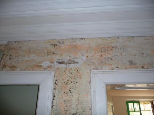 Ouverture Hall/Salon, avant