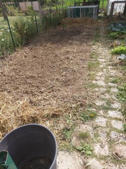 18/07/2020 jardinage